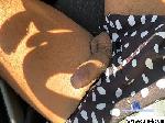 Maialequattro cam4 livecam show performer room profile
