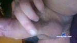 Punkybastard cam4 livecam show performer room profile