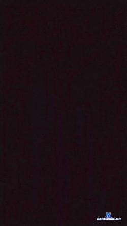 segamilf cam4 live cam performer profile