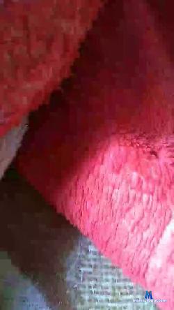 Mailsonjoses1 cam4 live cam performer profile