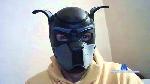 leotheleo cam4 livecam show performer room profile