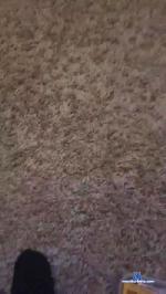 Slimsoutherner cam4 livecam show performer room profile