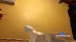 Rebecaxxx31 cam4 livecam show performer room profile