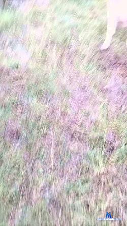 Rafael21038 cam4 live cam performer profile