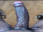 Caboverdiano31 cam4 livecam show performer room profile