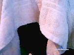 singolare1 cam4 livecam show performer room profile