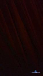 thor1691 cam4 livecam show performer room profile