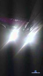 aviape cam4 livecam show performer room profile
