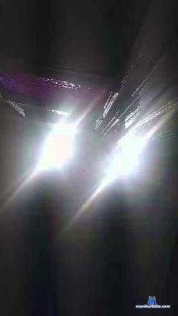 aviape cam4 live cam performer profile