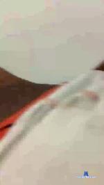 BrazilianDotado cam4 livecam show performer room profile