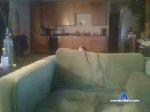AricaPeace cam4 livecam show performer room profile