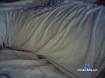maxx79277 cam4 livecam show performer room profile