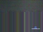dewpoint21 cam4 livecam show performer room profile