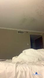 skydiver7778 cam4 livecam show performer room profile
