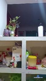 Preto_52 cam4 livecam show performer room profile