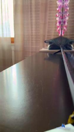 Giadarossi cam4 live cam performer profile