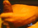 Cabo98 cam4 livecam show performer room profile