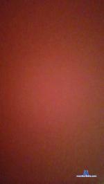 grishafu cam4 livecam show performer room profile