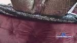 jack_e_donna cam4 livecam show performer room profile