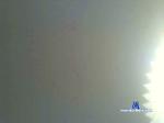 feltfelt cam4 livecam show performer room profile
