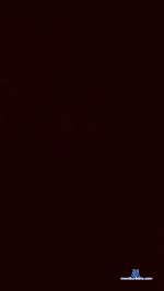 Ligthbluee cam4 livecam show performer room profile