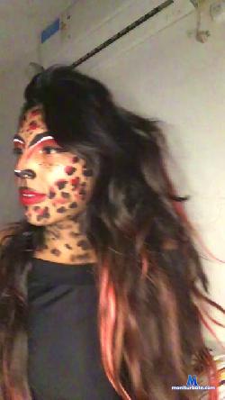 leopardaroja cam4 live cam performer profile