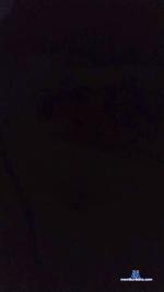 Bidu90 cam4 livecam show performer room profile
