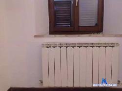 Sofi1511 cam4 live cam performer profile