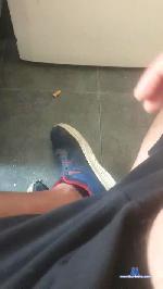 4pollaparati cam4 livecam show performer room profile