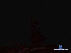 tigersush1 cam4 live cam performer profile