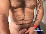hairyeddie25 cam4 livecam show performer room profile
