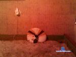 palka23 cam4 livecam show performer room profile