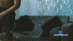 Pette_Brown cam4 livecam show performer room profile
