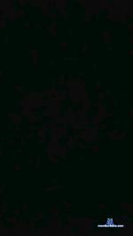 Cleo0e cam4 livecam show performer room profile