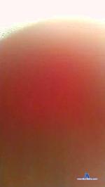 Morenoxxx7 cam4 livecam show performer room profile