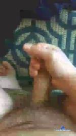 Gumdrop658 cam4 livecam show performer room profile
