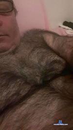 donato21 cam4 livecam show performer room profile