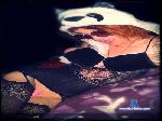AllysonChains cam4 livecam show performer room profile
