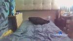 Itsmetim85 cam4 livecam show performer room profile