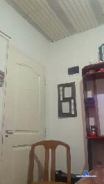tunenitaloca cam4 livecam show performer room profile