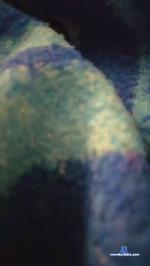 Pareja69_69 cam4 livecam show performer room profile