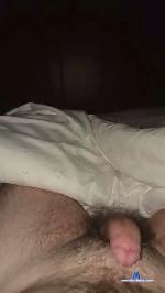 Ara2002 cam4 livecam show performer room profile