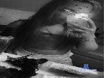 Couplegroscul cam4 livecam show performer room profile