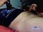 gusvan cam4 livecam show performer room profile