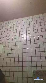 vigilantegoias3 cam4 livecam show performer room profile