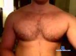 muscargento cam4 livecam show performer room profile