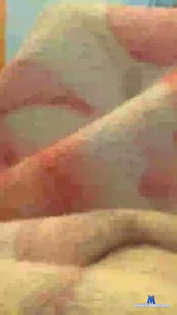 Niki83 cam4 live cam performer profile
