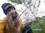 EarleneConner cam4 livecam show performer room profile