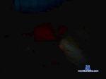 nomihsexy cam4 livecam show performer room profile