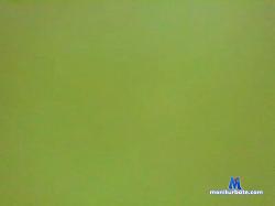 paquito51 cam4 live cam performer profile